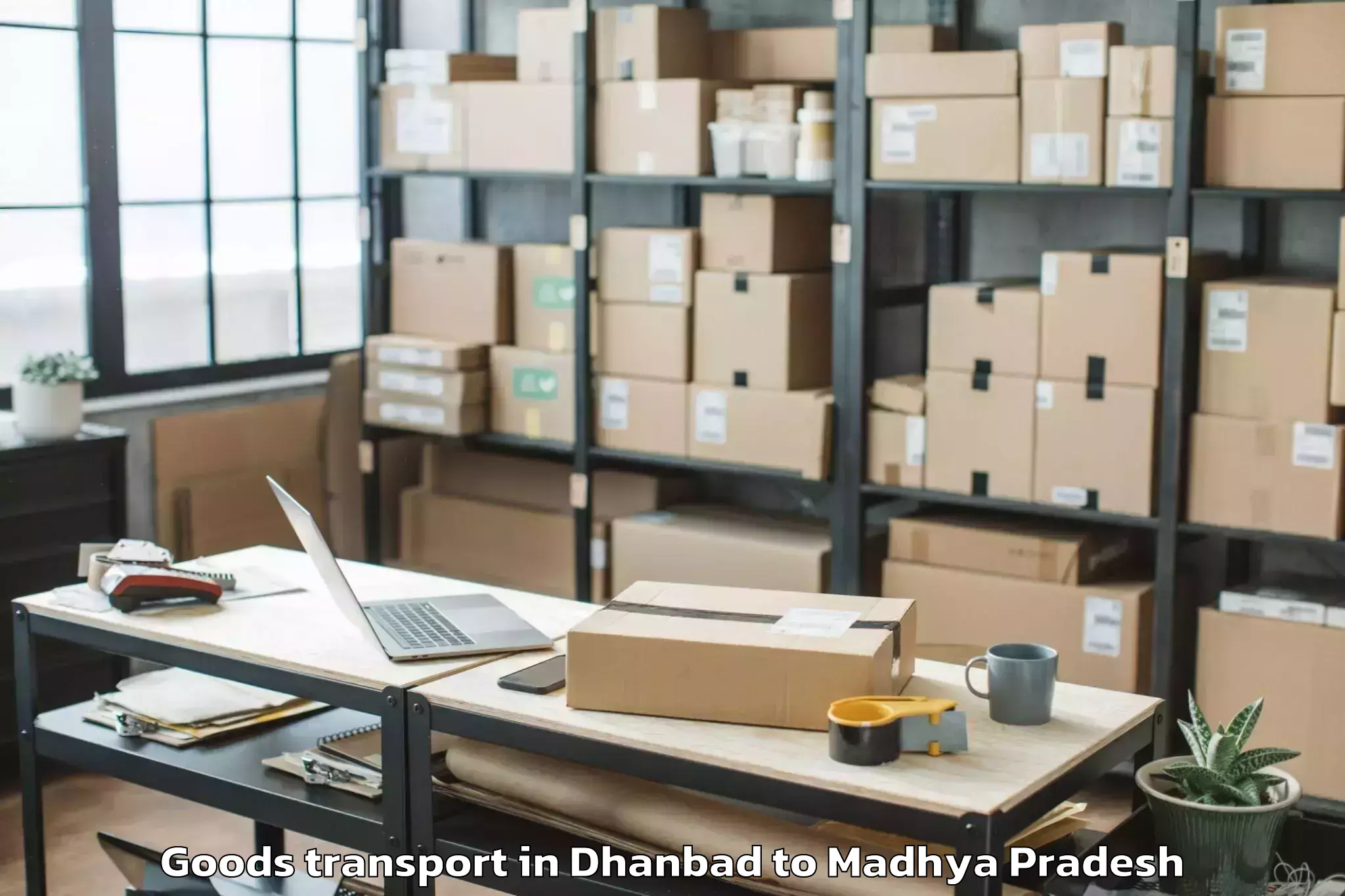 Comprehensive Dhanbad to Satna Airport Tni Goods Transport